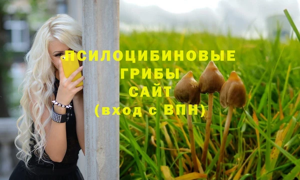 apvp Липки