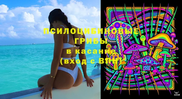 гидропоника Сясьстрой