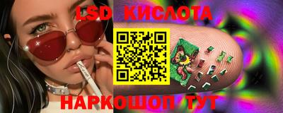 прущие грибы Будённовск