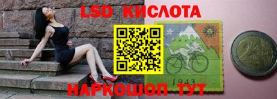 прущие грибы Будённовск