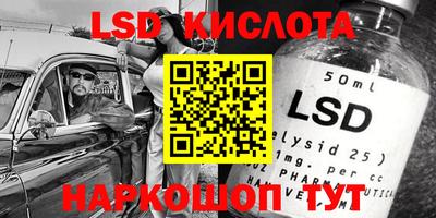 прущие грибы Будённовск