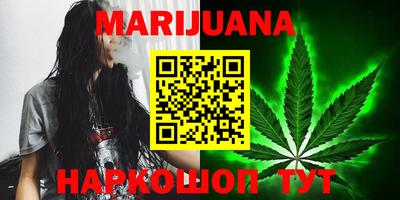 прущие грибы Будённовск