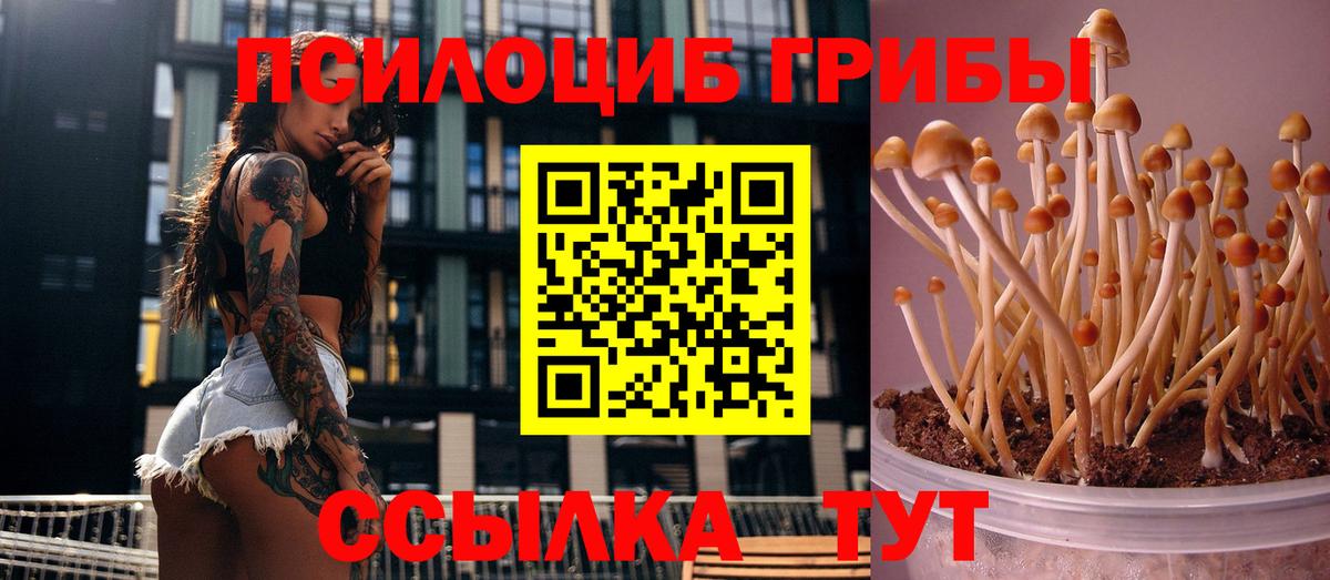 Галлюциногенные грибы мицелий Северодвинск