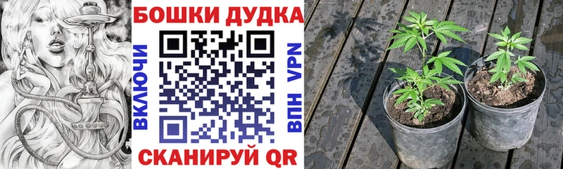 закладка  Северодвинск  Бошки Шишки LSD WEED 